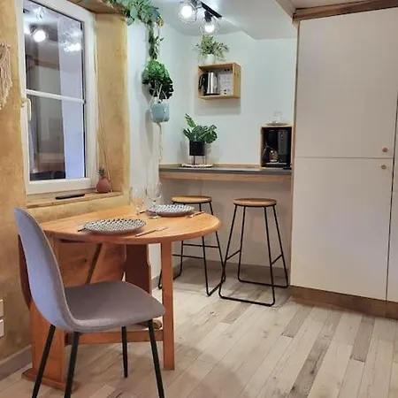דירה Cosy Rdc Centre Vu Chateau Et Jardin