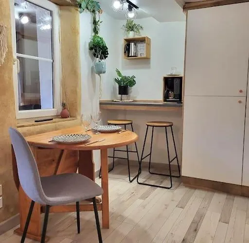 Appartamento Cosy Rdc Centre Vu Chateau Et Jardin