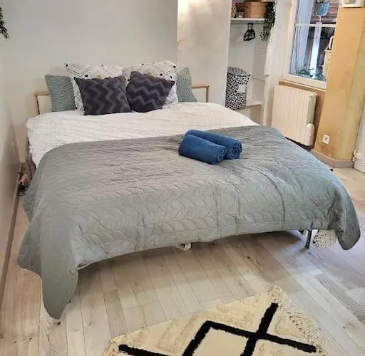 Cosy Rdc Centre Vu Chateau Et Jardin * Laval (Mayenne)